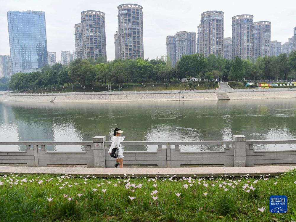 老虎机大师